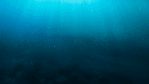 AquaVis 3D™
